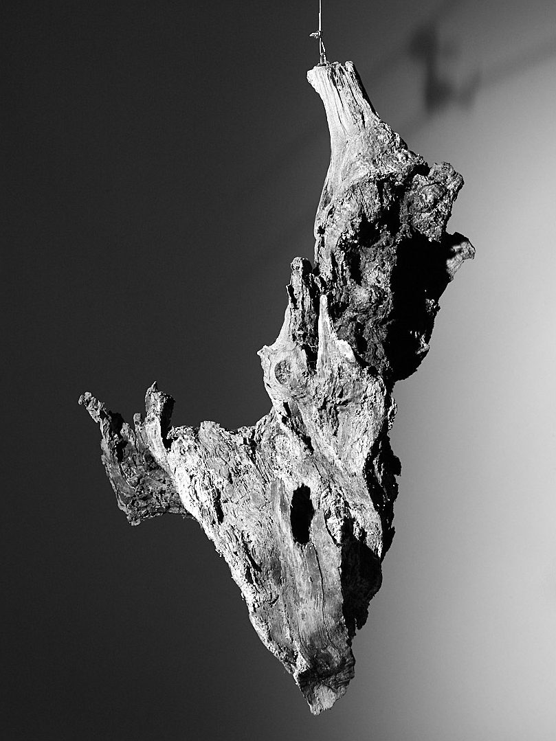 Suspension — Loïc Peoc'h